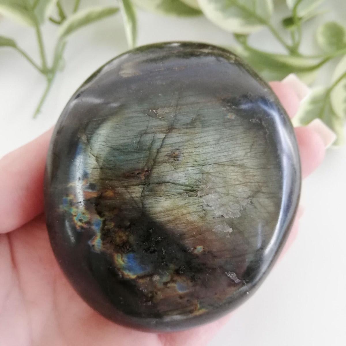 Labradorite Pebble - Large - 03 Labradorite Pebble - Large - 03